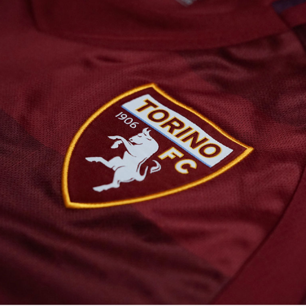 2024-25 Torino FC 1st Kit