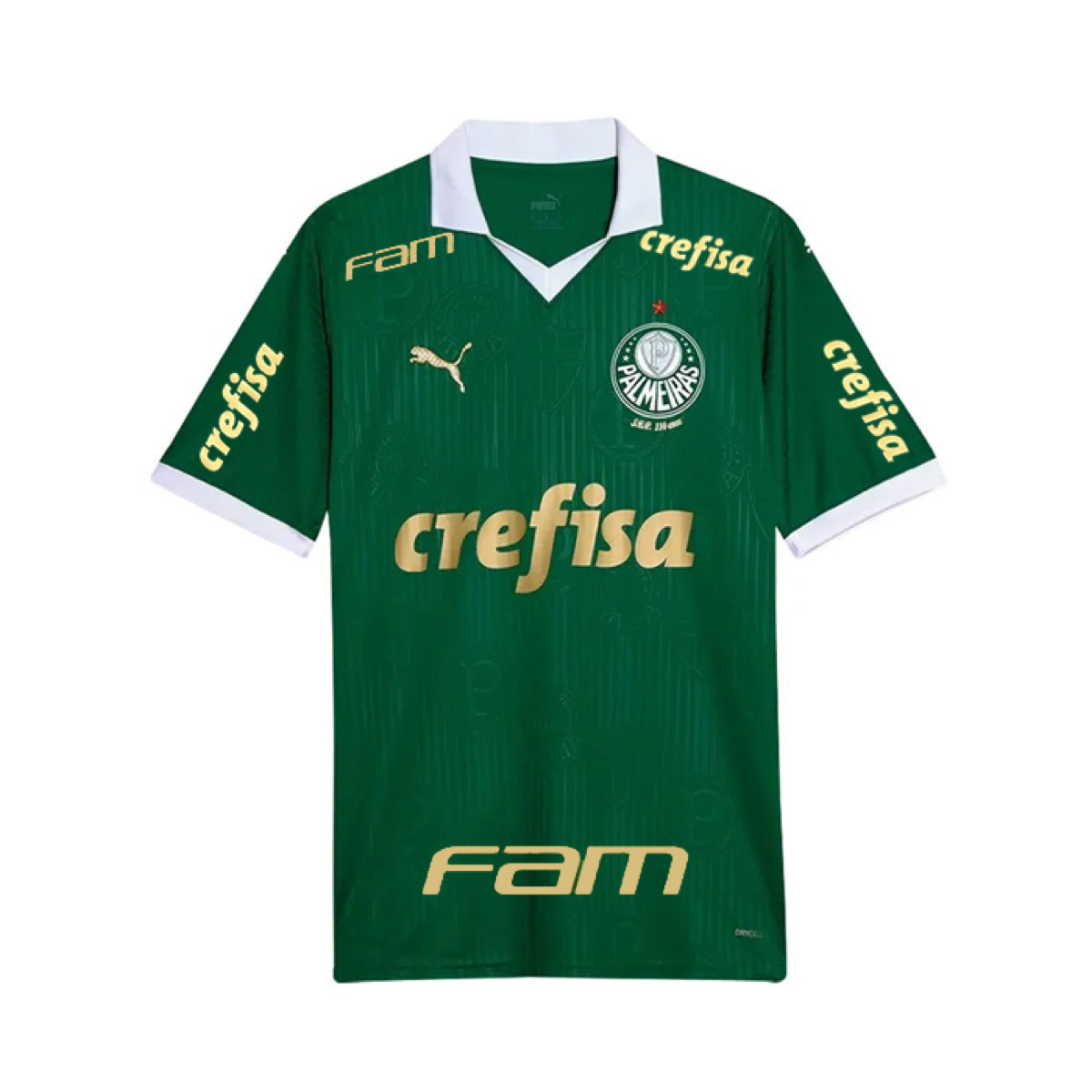2024-25 SE Palmeiras 1st Kit