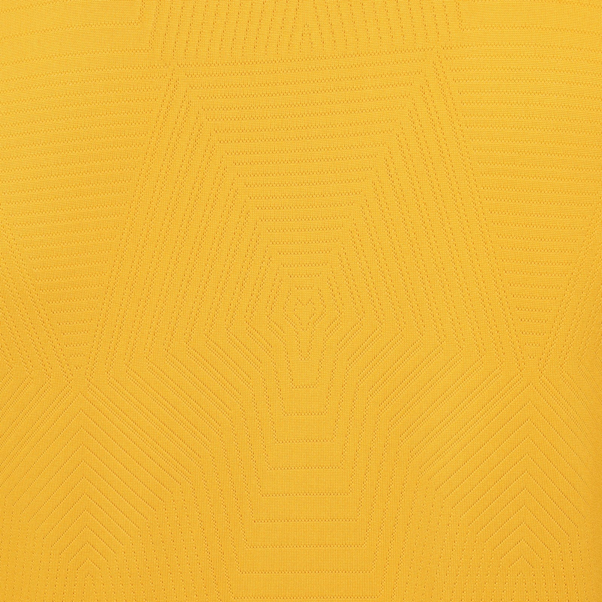 2024-25 Wolverhampton Wanderers FC 1st Kit