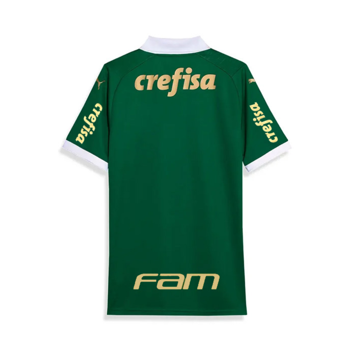 2024-25 SE Palmeiras 1st Kit