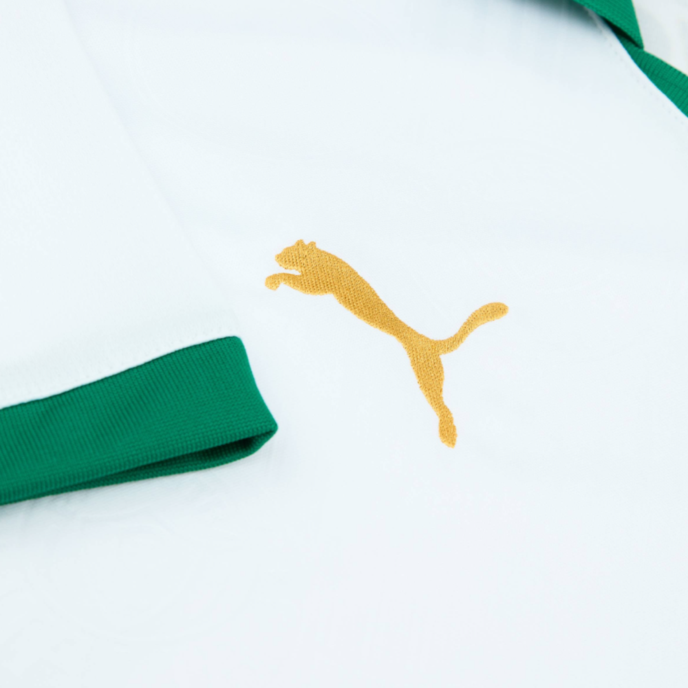 2024-25 SE Palmeiras 2nd Kit