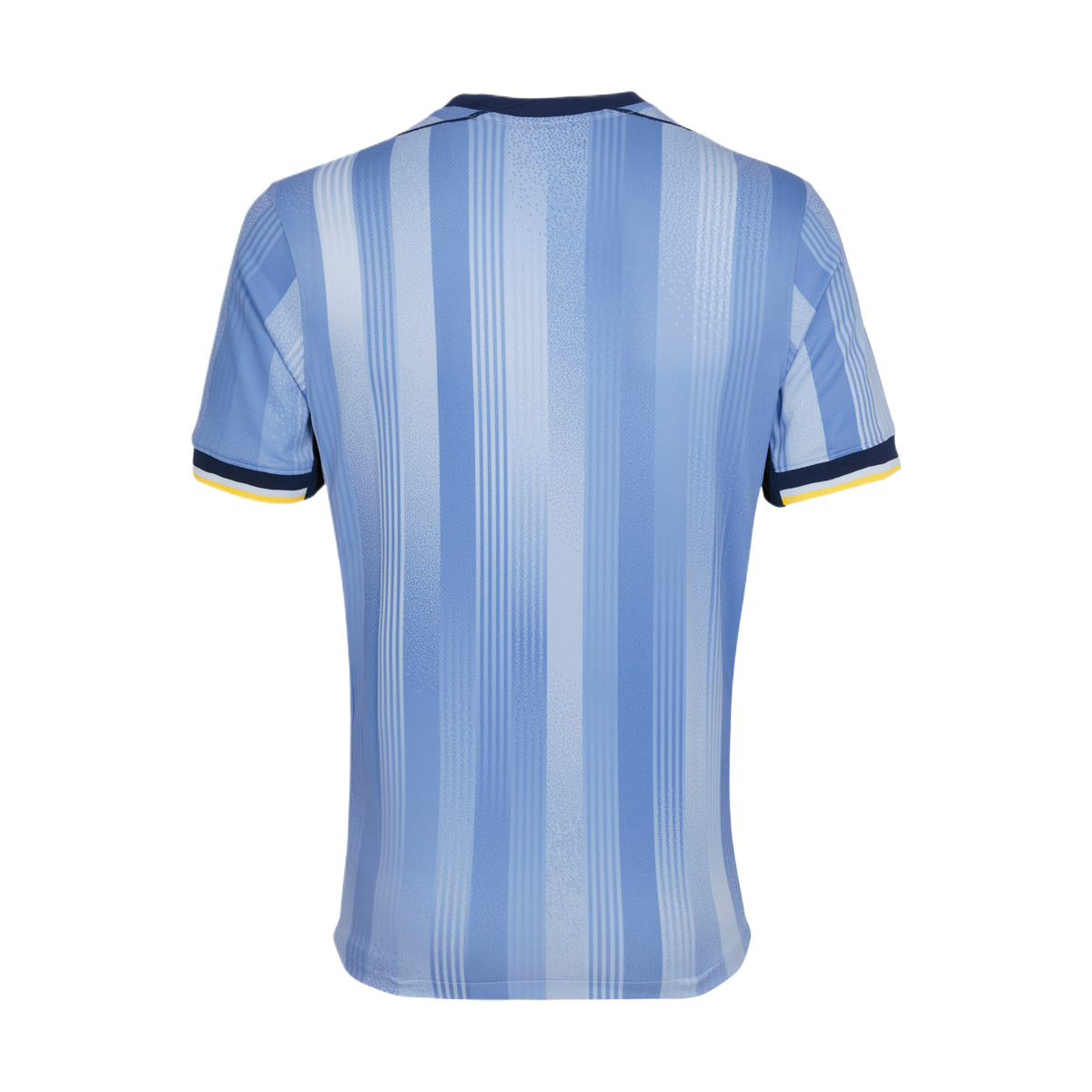 2024-25 Tottenham Hotspur FC 2nd Kit