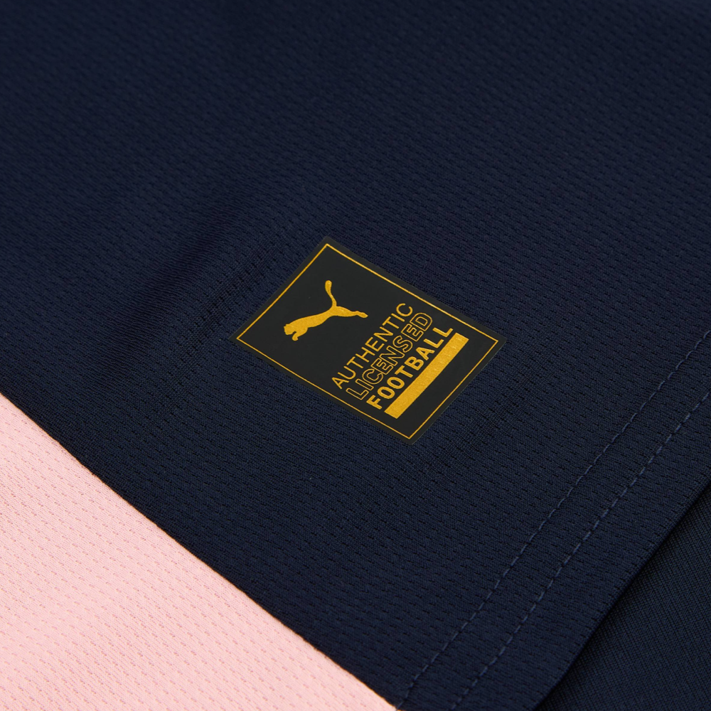 2025-26 Palermo FC 3rd Kit