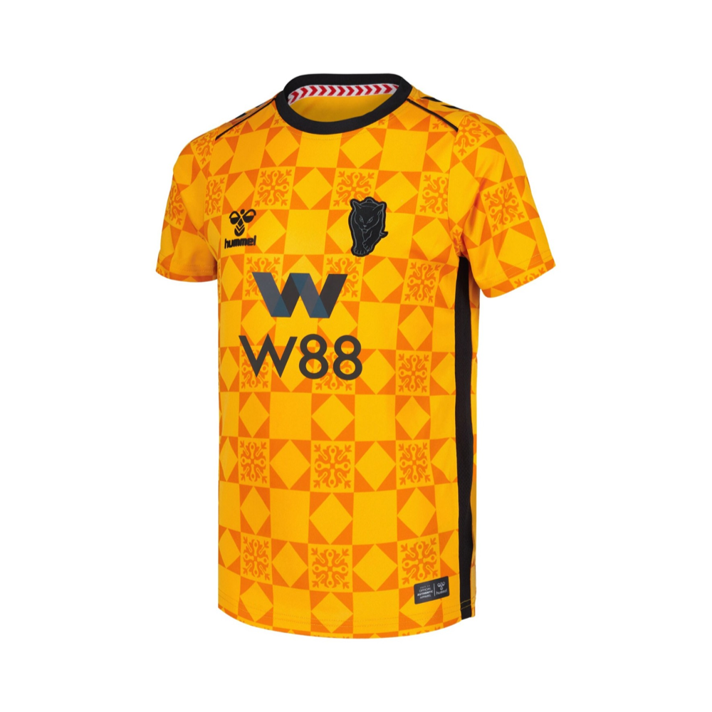2025-26 Sunderland AFC Goalkeeper Kit