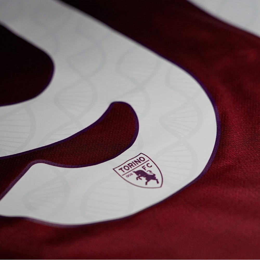 2024-25 Torino FC 1st Kit