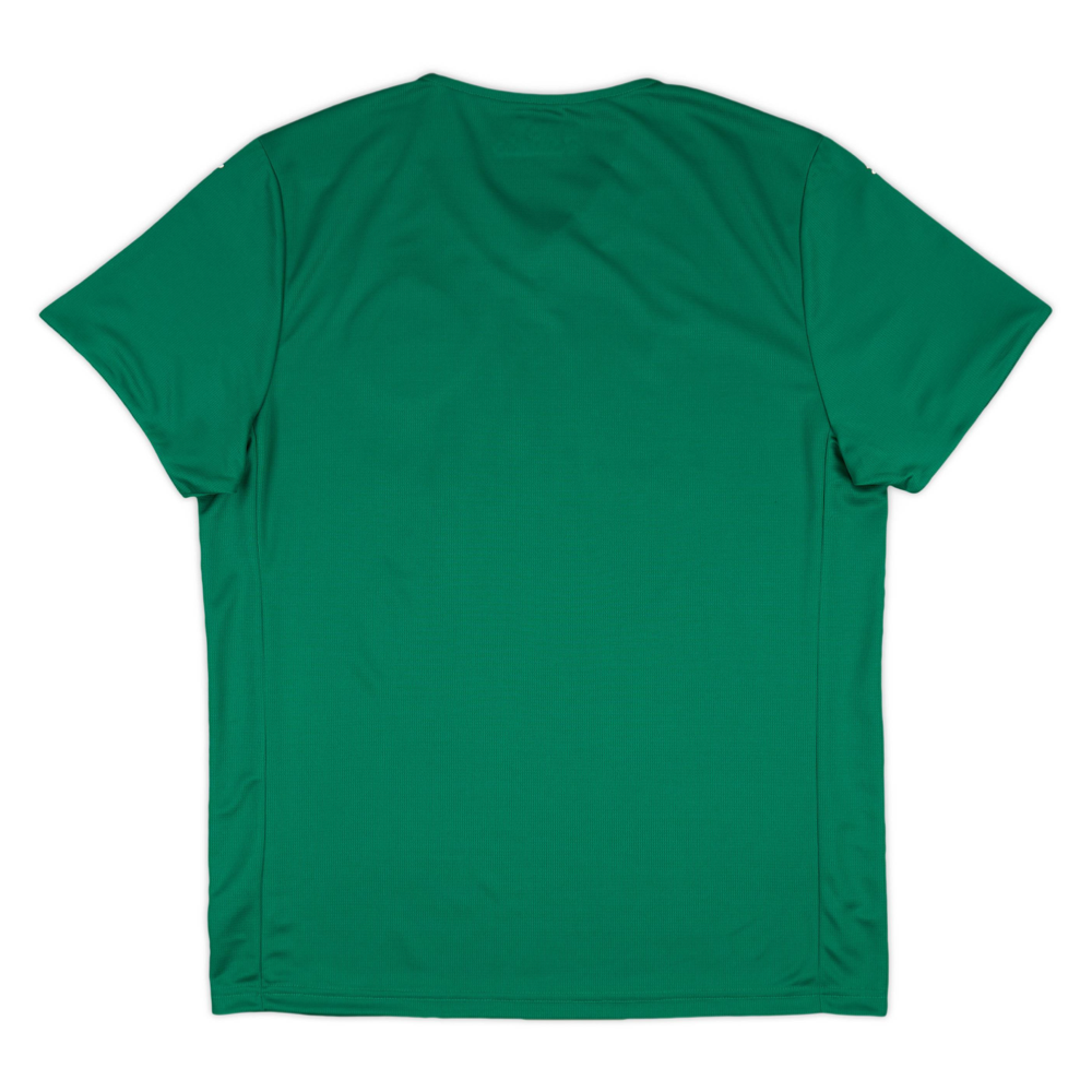 2025-26 SE Palmeiras 1st Kit