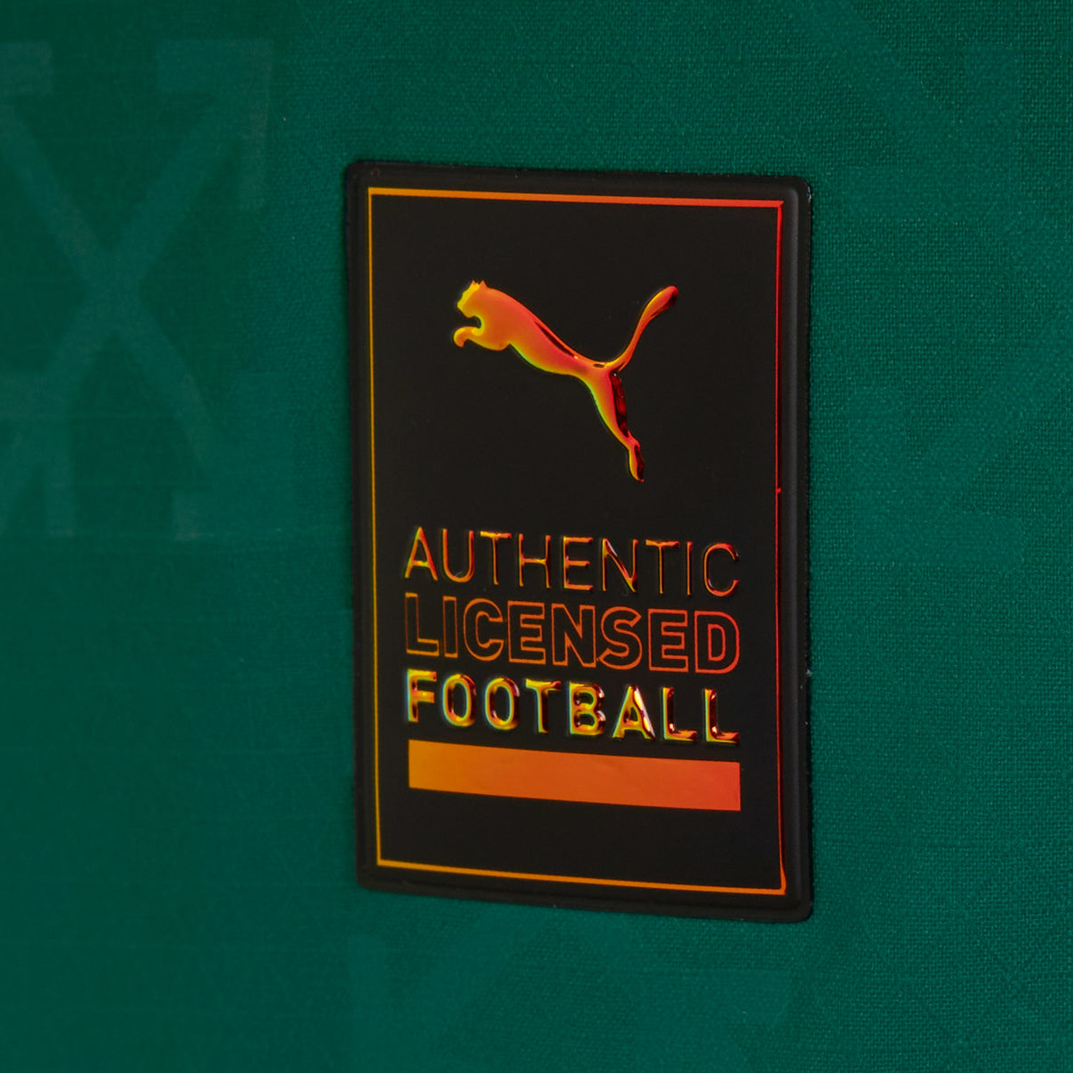 2024-25 AC Milan Special Edition Kit